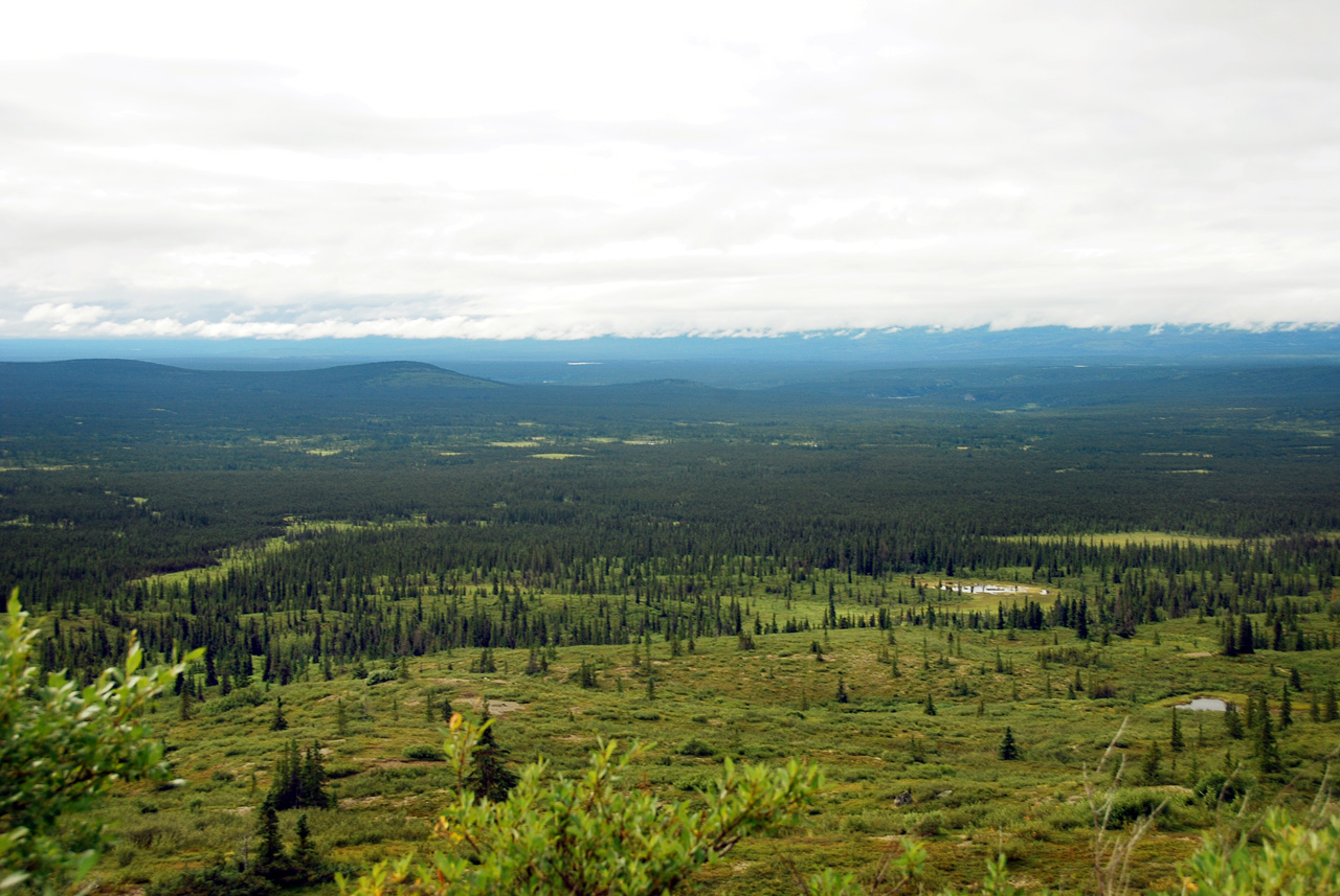 2013-08-11, 051, Denali Hwy, A8, Alaska