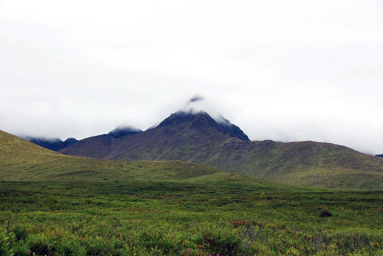 2013-08-11, 056, Denali Hwy, A8, Alaska