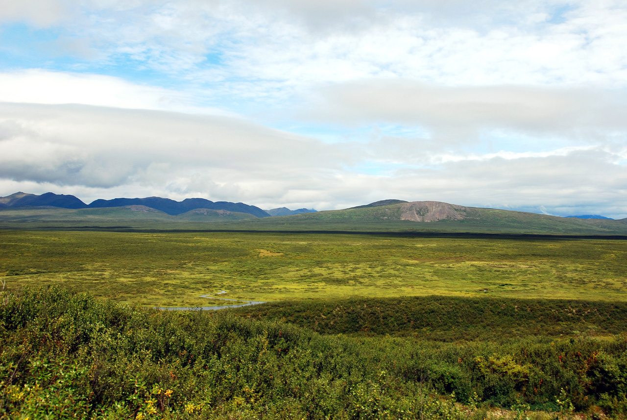 2013-08-11, 069, Denali Hwy, A8, Alaska