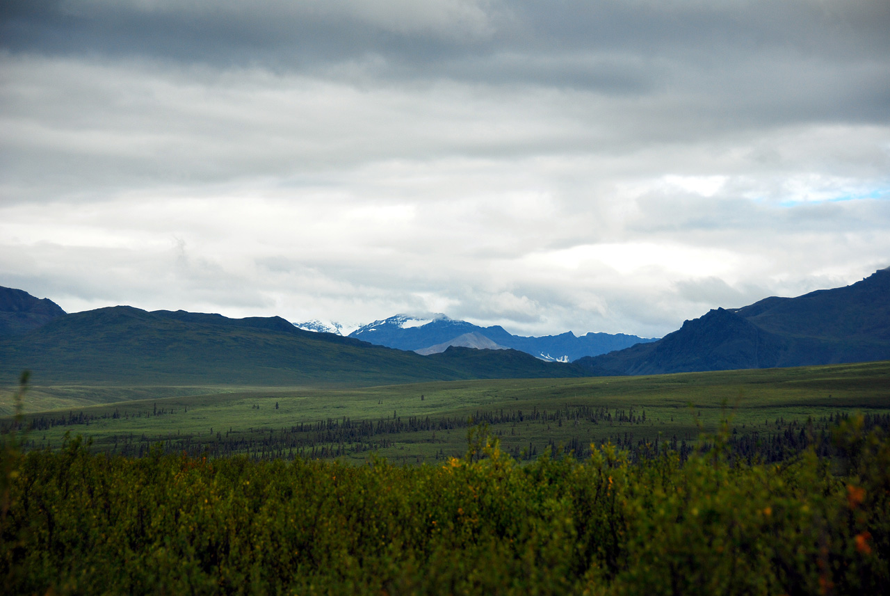 2013-08-11, 087, Denali Hwy, A8, Alaska