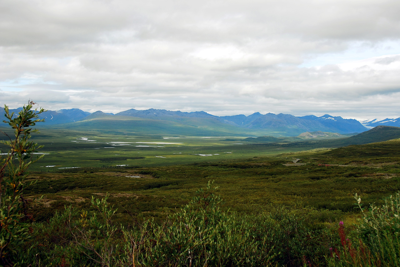 2013-08-11, 091, Denali Hwy, A8, Alaska