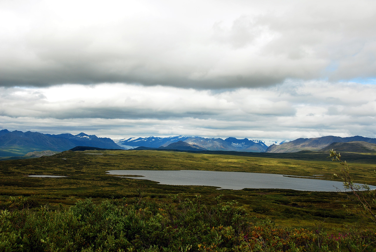 2013-08-11, 094, Denali Hwy, A8, Alaska