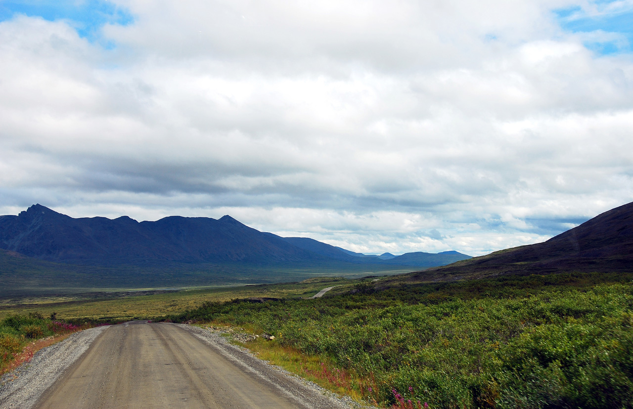 2013-08-11, 097, Denali Hwy, A8, Alaska