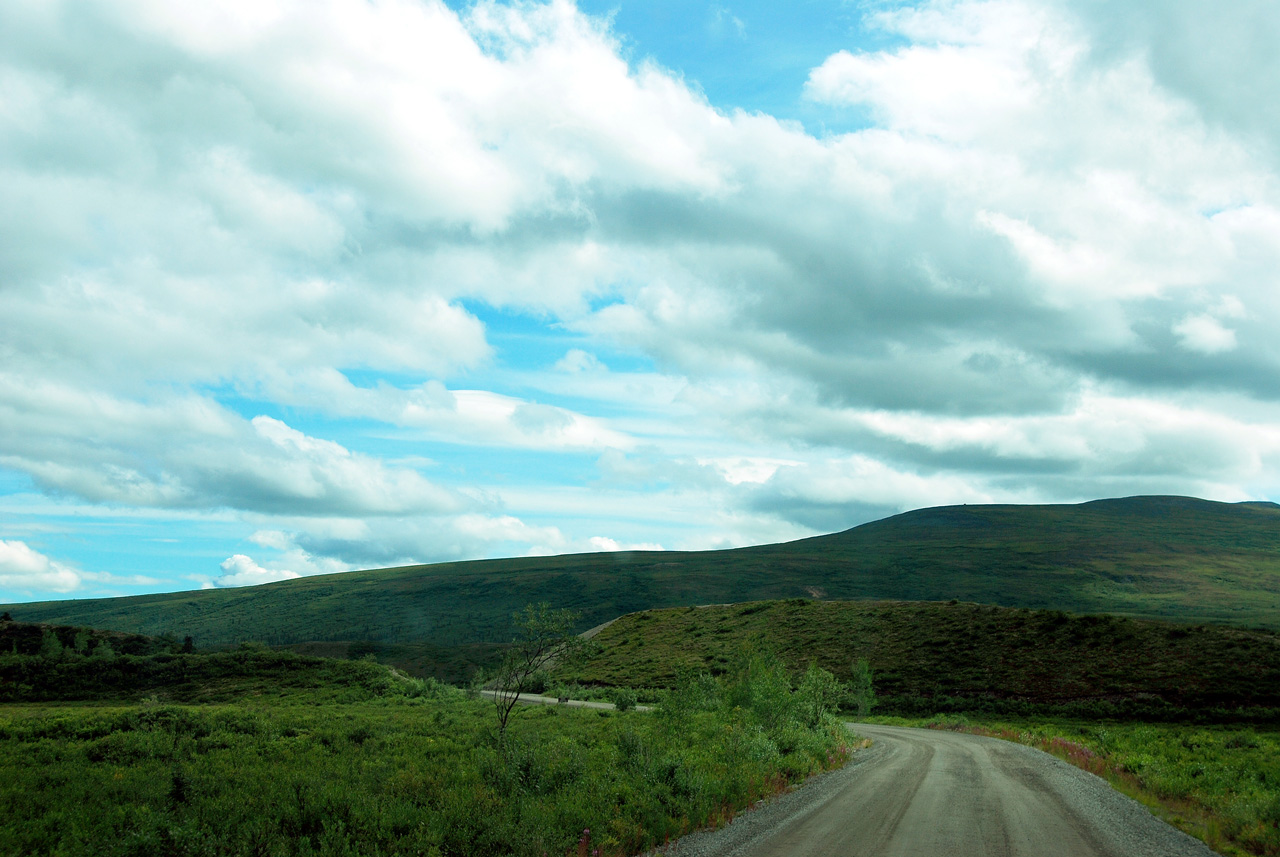 2013-08-11, 113, Denali Hwy, A8, Alaska