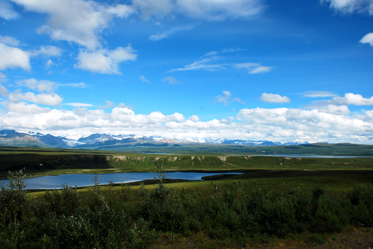 2013-08-11, 135, Denali Hwy, A8, Alaska