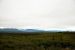 2013-08-11, 020, Denali Hwy, A8, Alaska