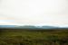 2013-08-11, 021, Denali Hwy, A8, Alaska