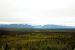 2013-08-11, 026, Denali Hwy, A8, Alaska