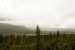 2013-08-11, 034, Denali Hwy, A8, Alaska