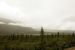 2013-08-11, 035, Denali Hwy, A8, Alaska