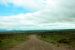 2013-08-11, 057, Denali Hwy, A8, Alaska