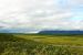 2013-08-11, 070, Denali Hwy, A8, Alaska