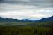 2013-08-11, 087, Denali Hwy, A8, Alaska