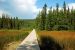 2013-08-15, 002, Liaed River Hotspring Pool, BC