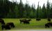 2013-08-16, 002, The Alaskan Hwy MP 496 - 0, BC