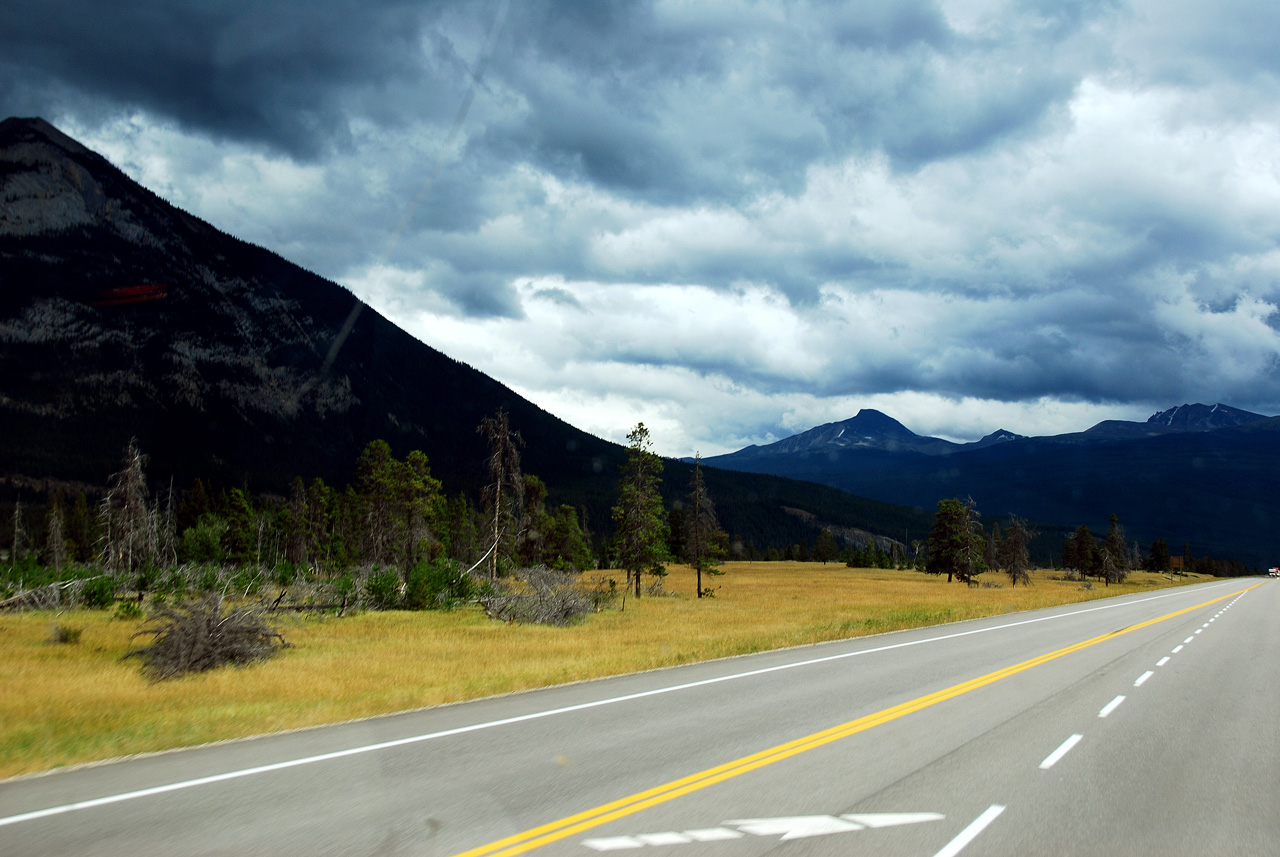 2013-08-18, 013, Along Rt 16 in Jasper NP, AB