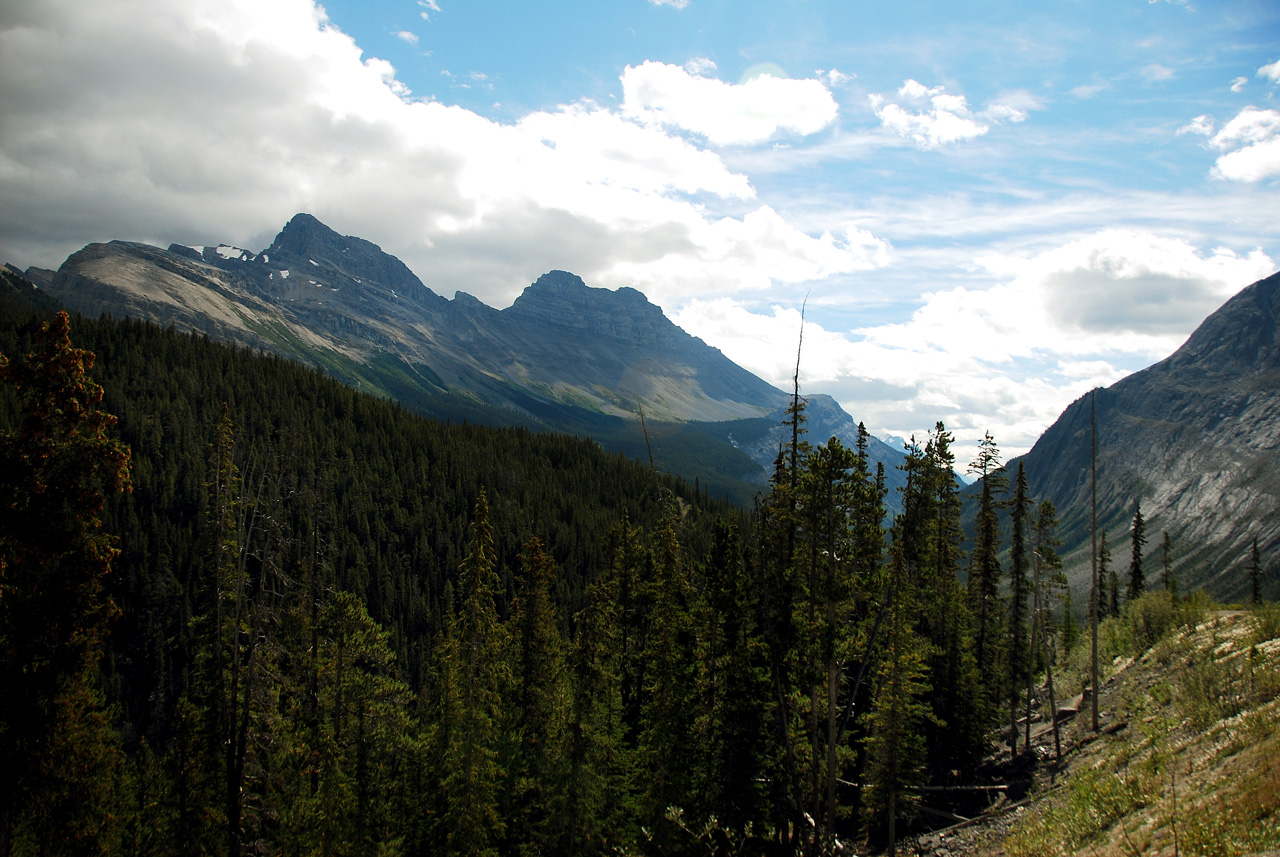 2013-08-19, 012, Along the 'Icefields Pkwy' in Banff, AB