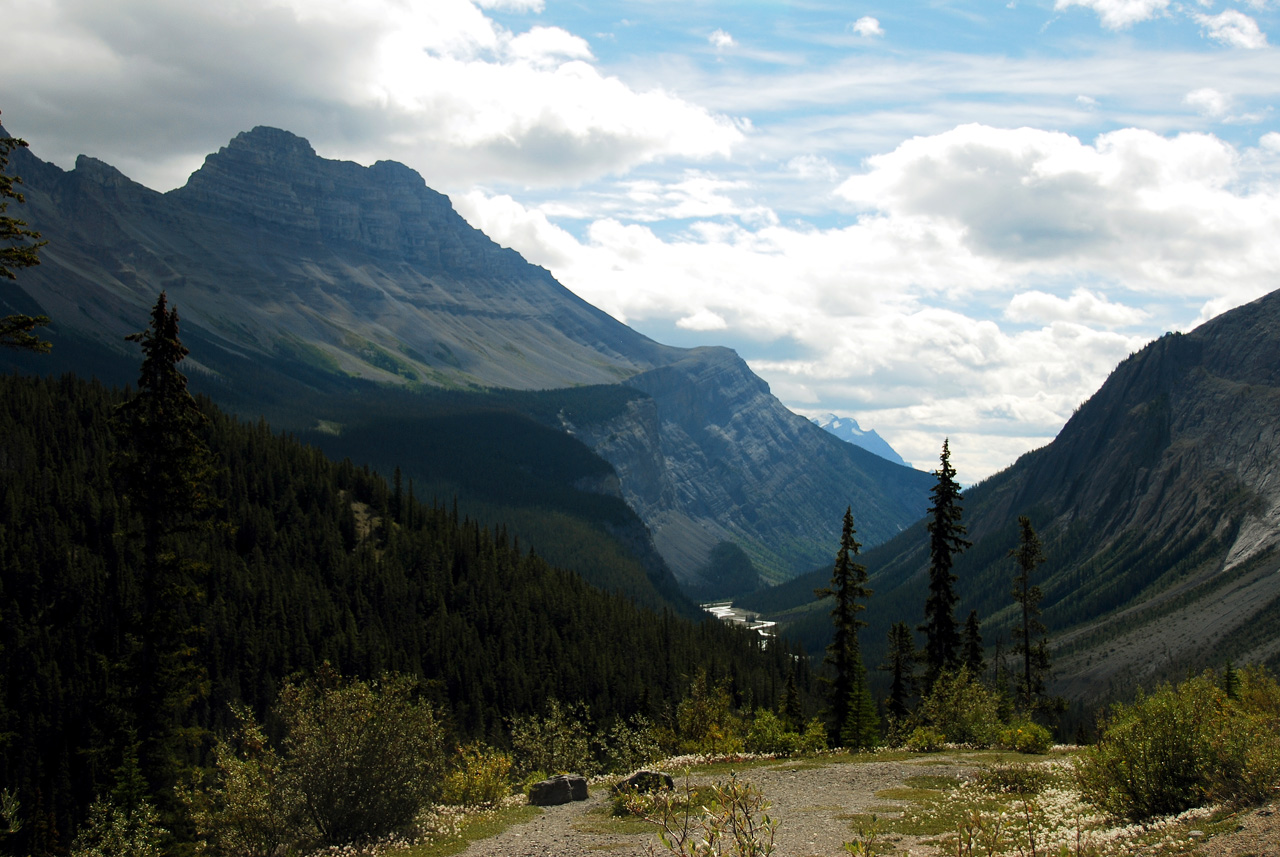 2013-08-19, 013, Along the 'Icefields Pkwy' in Banff, AB