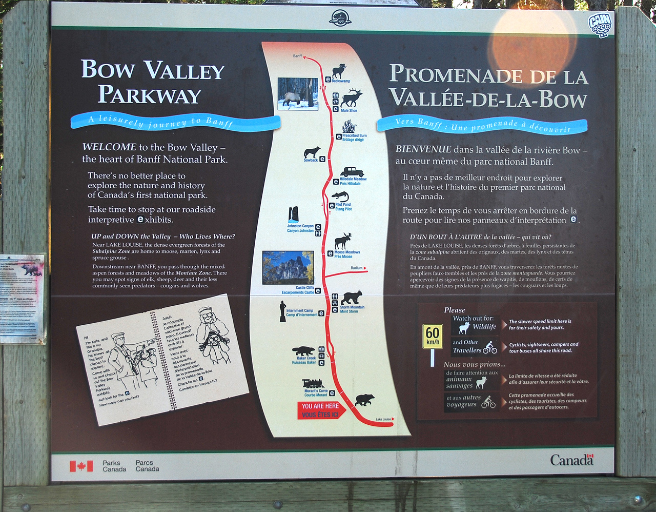 2013-08-19, 053, Along the 'Bow Valley Pkwy in Banff, AB