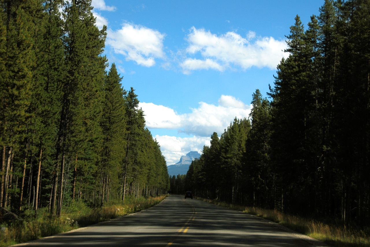 2013-08-19, 057, Along the 'Bow Valley Pkwy in Banff, AB
