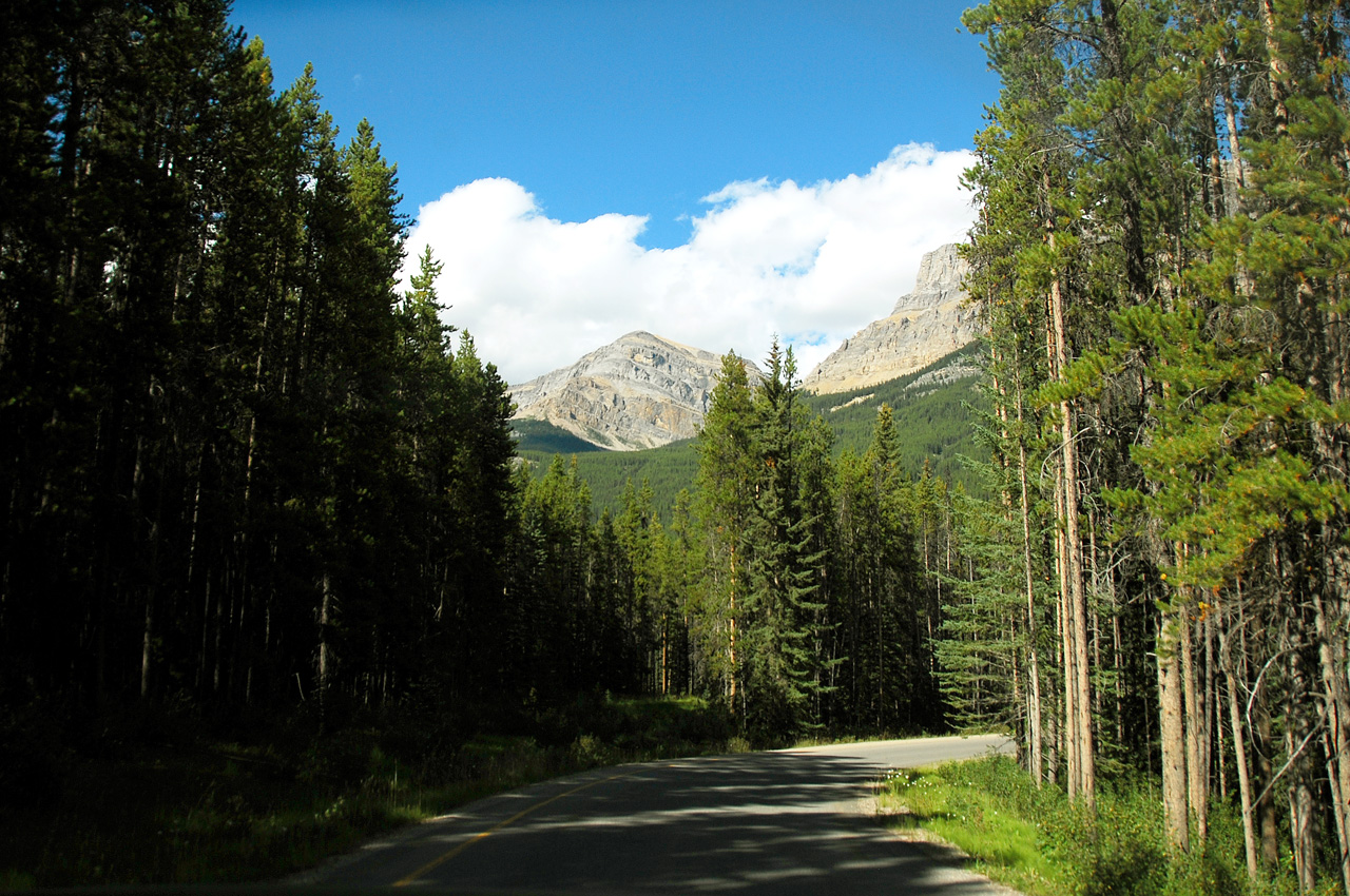 2013-08-19, 059, Along the 'Bow Valley Pkwy in Banff, AB