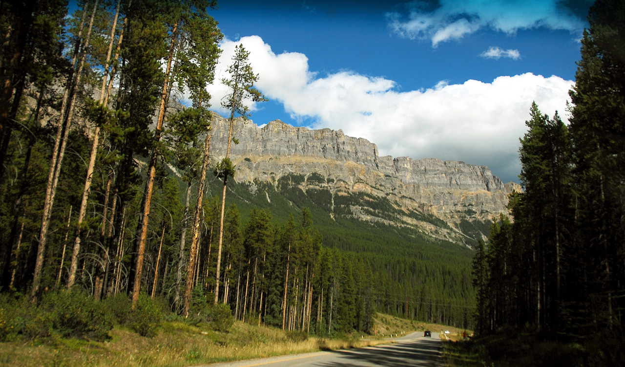 2013-08-19, 060, Along the 'Bow Valley Pkwy in Banff, AB