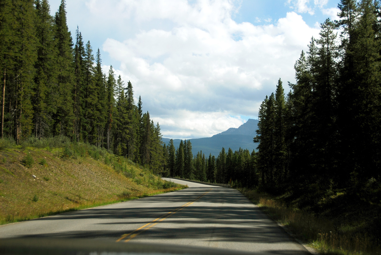 2013-08-19, 061, Along the 'Bow Valley Pkwy in Banff, AB