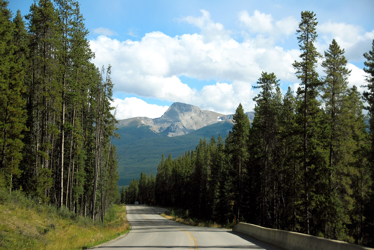 2013-08-19, 062, Along the 'Bow Valley Pkwy in Banff, AB