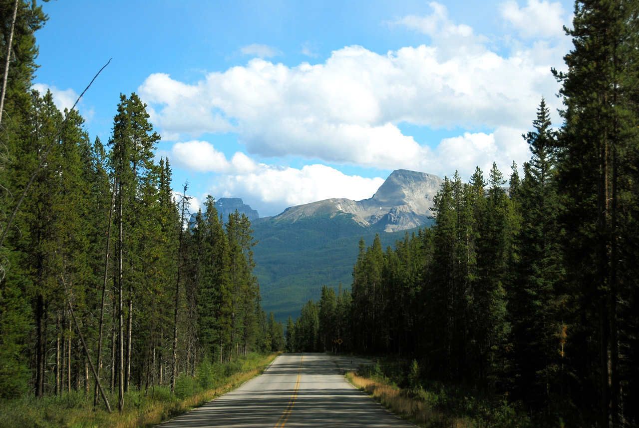 2013-08-19, 063, Along the 'Bow Valley Pkwy in Banff, AB