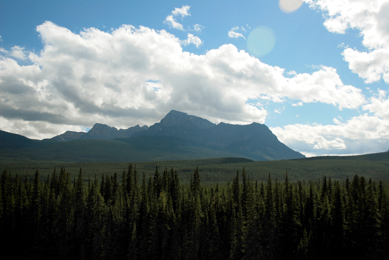 2013-08-19, 066, Along the 'Bow Valley Pkwy in Banff, AB