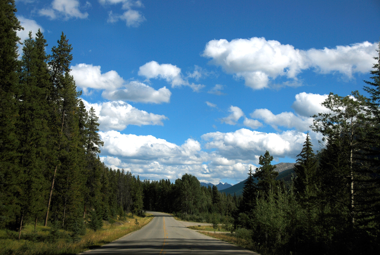 2013-08-19, 073, Along the 'Bow Valley Pkwy in Banff, AB