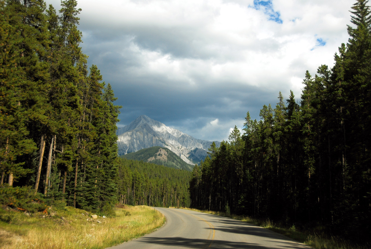 2013-08-19, 075, Along the 'Bow Valley Pkwy in Banff, AB