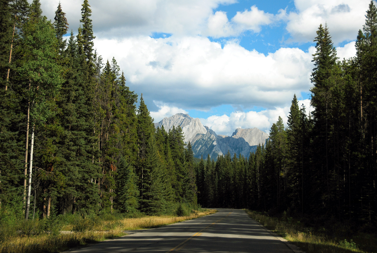 2013-08-19, 076, Along the 'Bow Valley Pkwy in Banff, AB