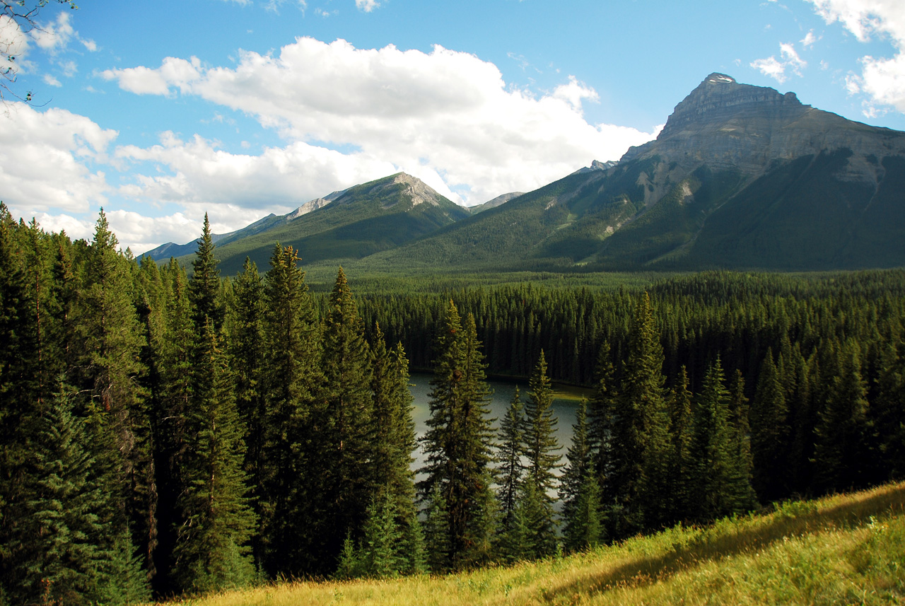 2013-08-19, 078, Along the 'Bow Valley Pkwy in Banff, AB
