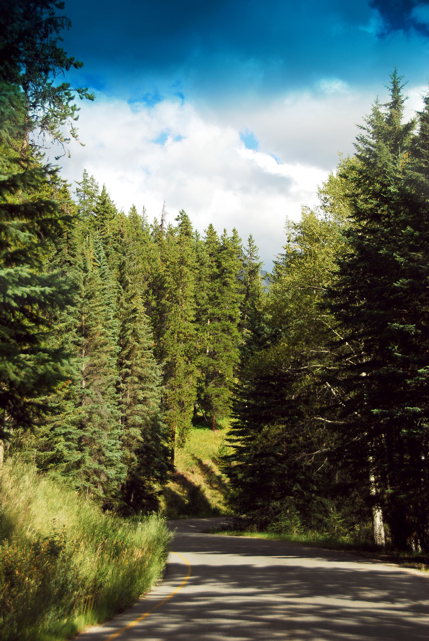 2013-08-19, 080, Along the 'Bow Valley Pkwy in Banff, AB