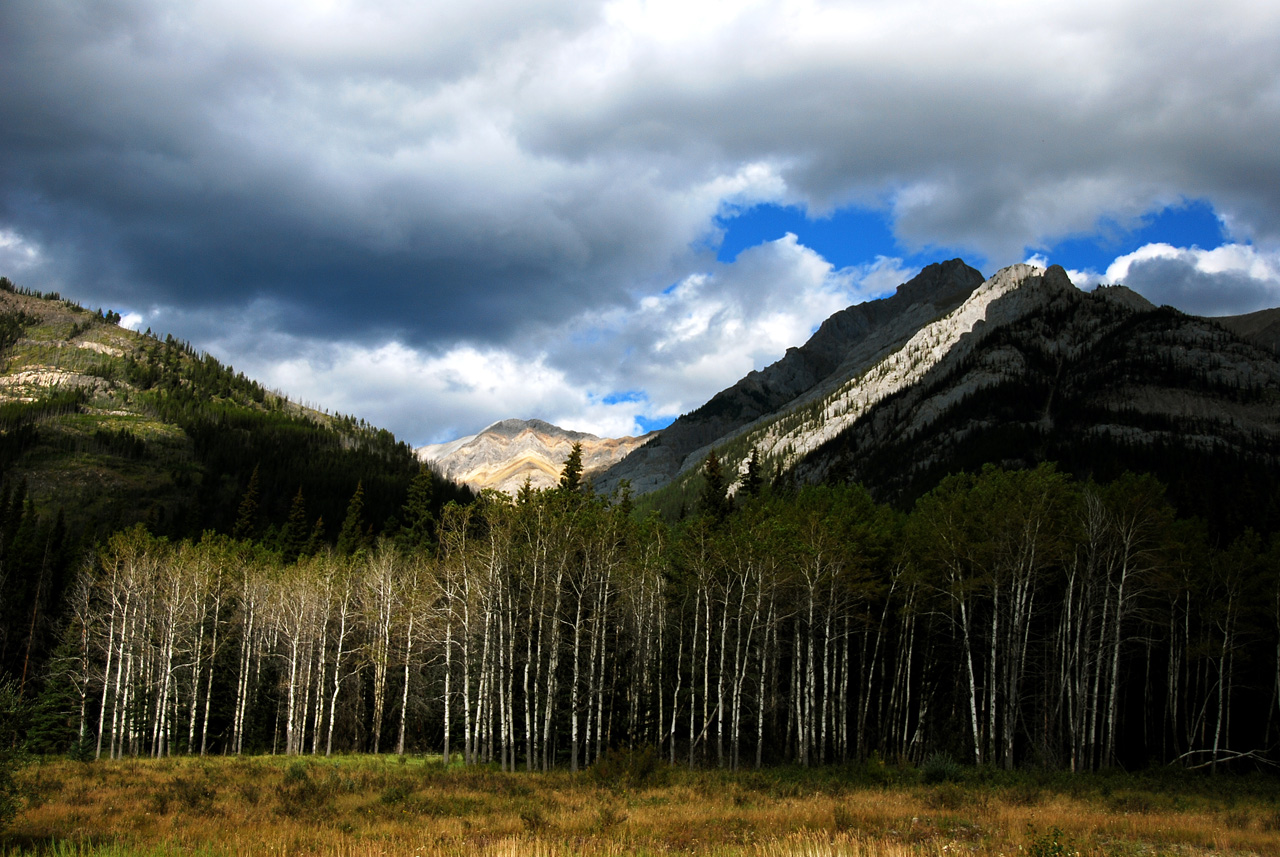 2013-08-19, 086, Along the 'Bow Valley Pkwy in Banff, AB