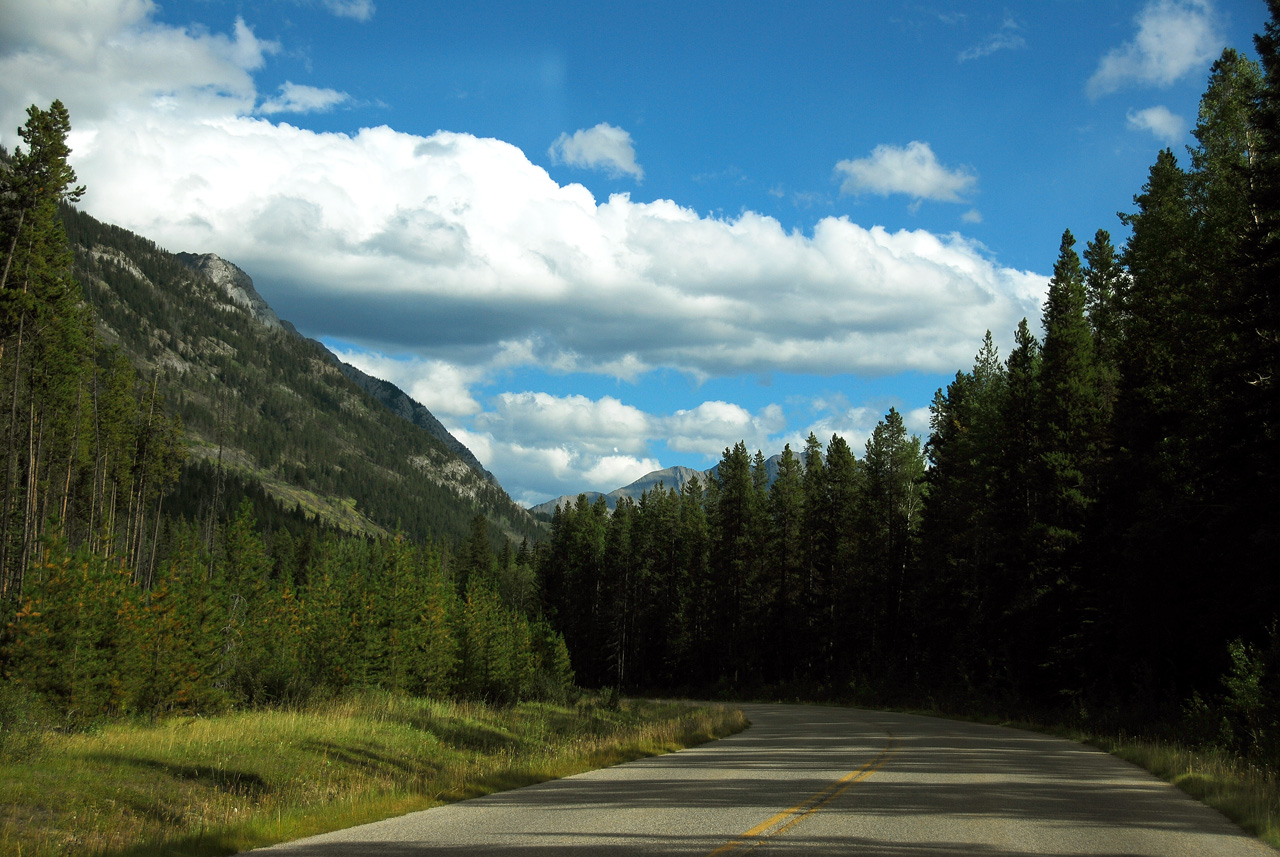 2013-08-19, 089, Along the 'Bow Valley Pkwy in Banff, AB