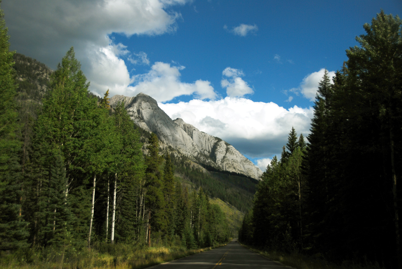 2013-08-19, 091, Along the 'Bow Valley Pkwy in Banff, AB