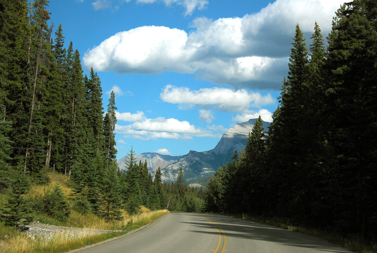 2013-08-19, 098, Along the 'Bow Valley Pkwy in Banff, AB