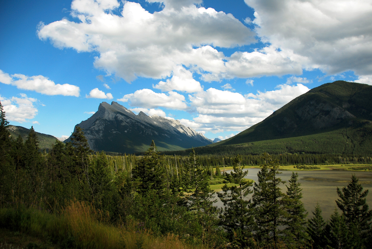 2013-08-19, 102, Along the 'Bow Valley Pkwy in Banff, AB