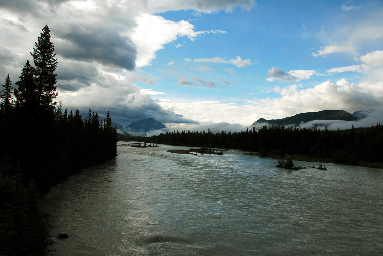 2013-08-19, 003, Along the 'Icefields Pkwy' in Jasper, AB