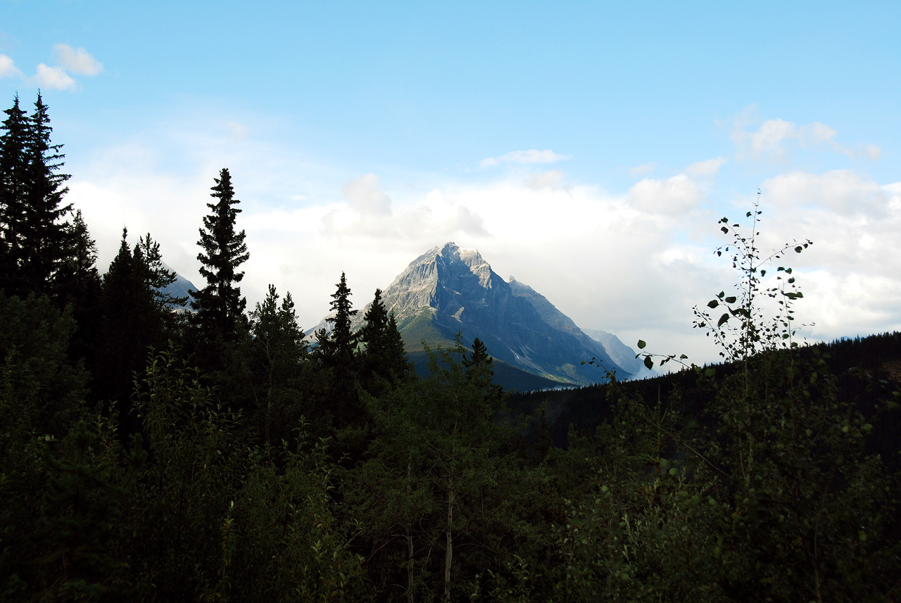 2013-08-19, 015, Along the 'Icefields Pkwy' in Jasper, AB