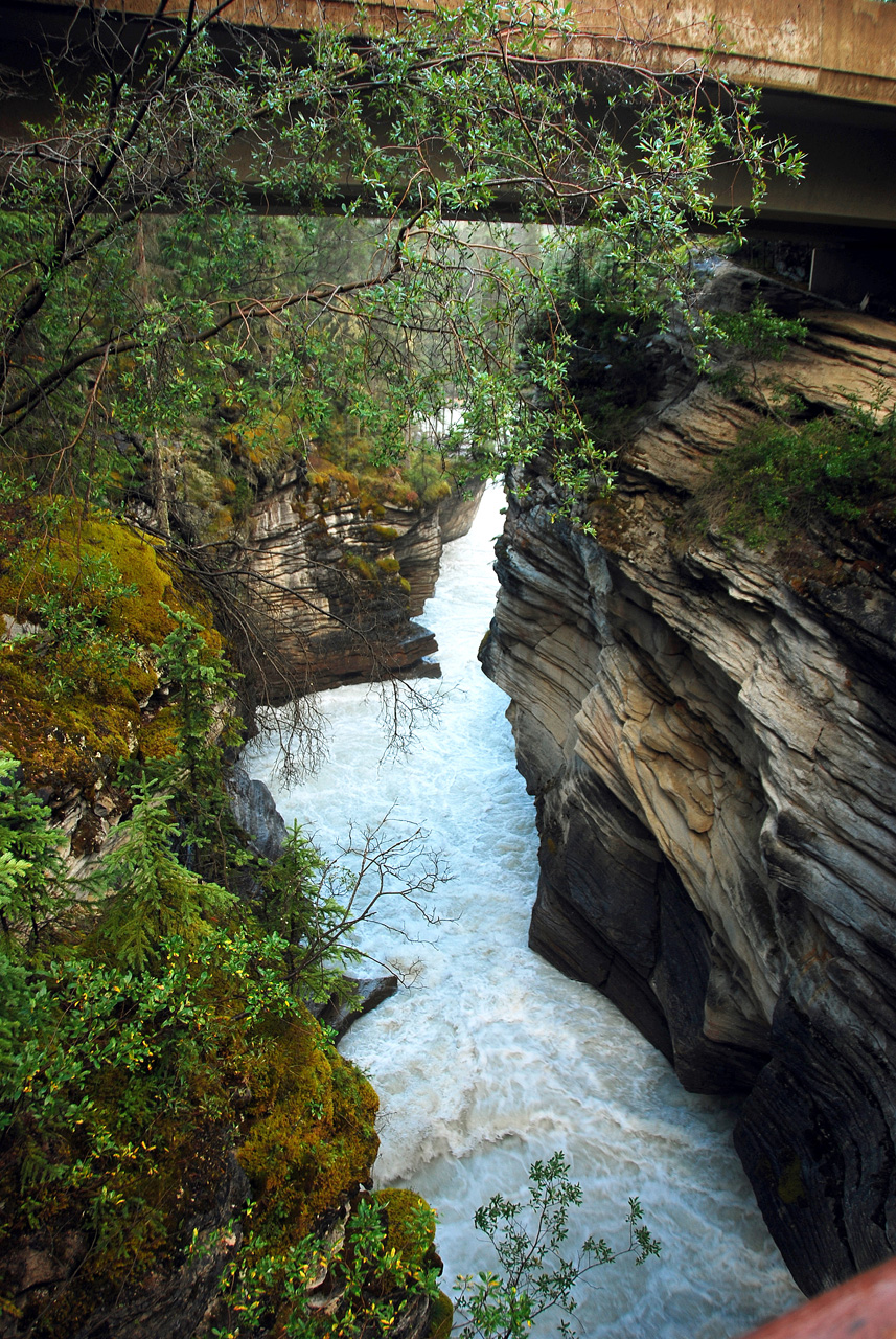 2013-08-19, 029, Athabasca Falls in Jasper, AB
