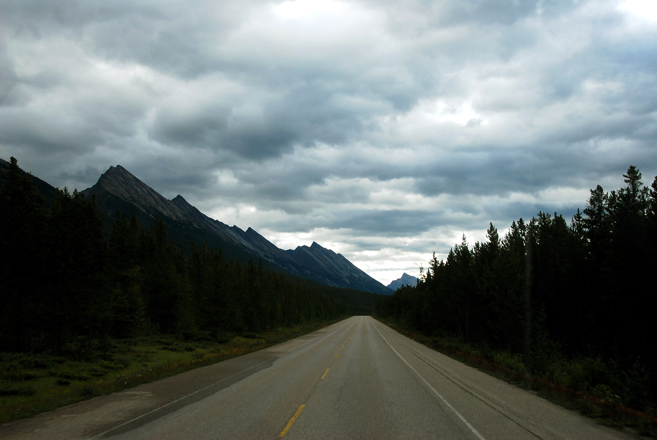 2013-08-19, 051, Along the 'Icefields Pkwy' in Jasper, AB