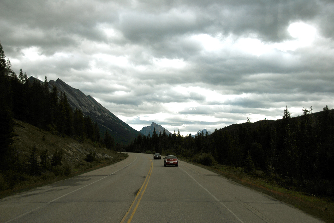 2013-08-19, 064, Along the 'Icefields Pkwy' in Jasper, AB