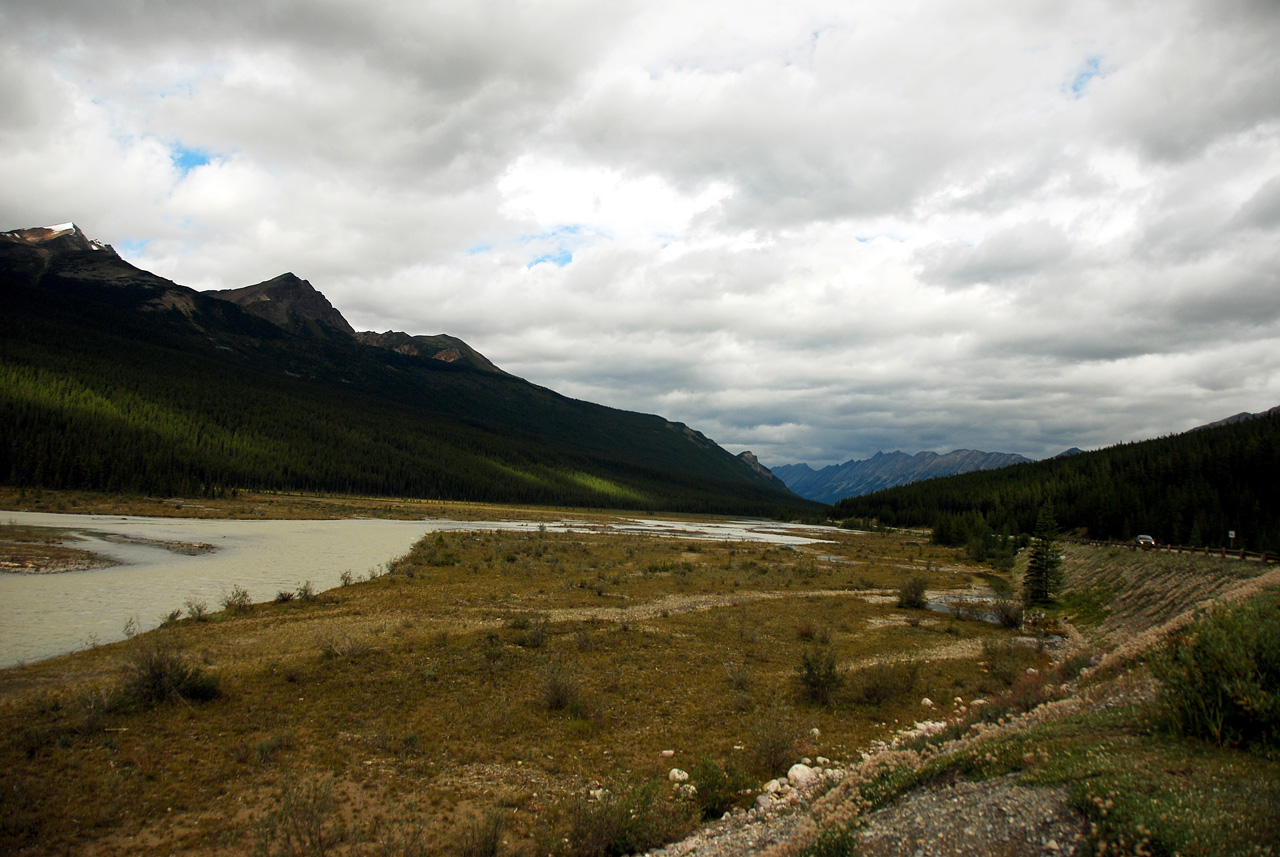 2013-08-19, 072, Along the 'Icefields Pkwy' in Jasper, AB