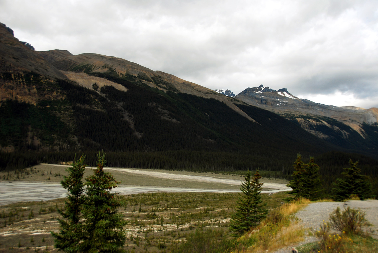 2013-08-19, 079, Along the 'Icefields Pkwy' in Jasper, AB