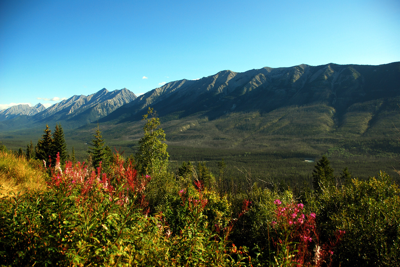 2013-08-20, 026, Along Rt 93 thru Kootenay NP, BC