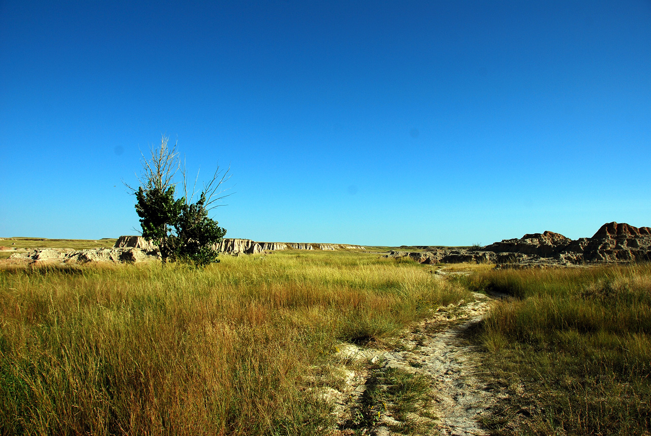 2013-09-02, 004, Medicine Root Trail, Badlands NP, SD.JPG