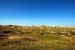 2013-09-02, 023, Medicine Root Trail, Badlands NP, SD.JPG